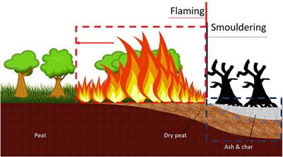 Review of the Transition From Smouldering to Flaming Combustion in Wildfires